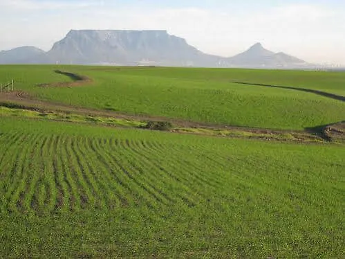 Welbeloond Farm Cottages Bloubergstrand Hotel