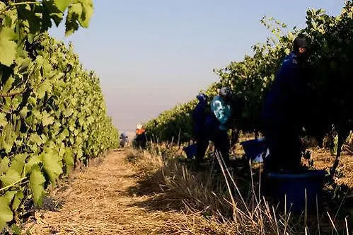 Welbeloond Farm Cottages Bloubergstrand Afrique du Sud